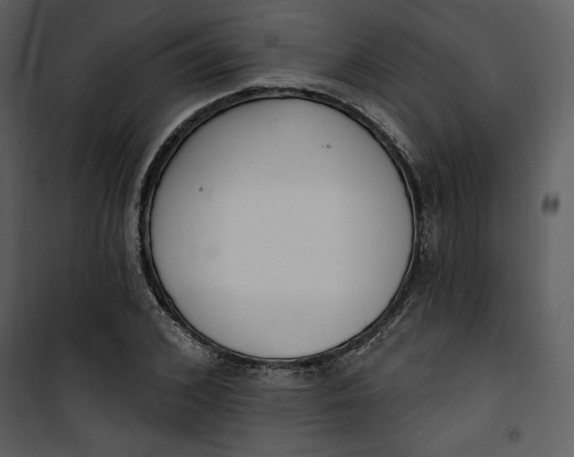 X0000101230976200807181559