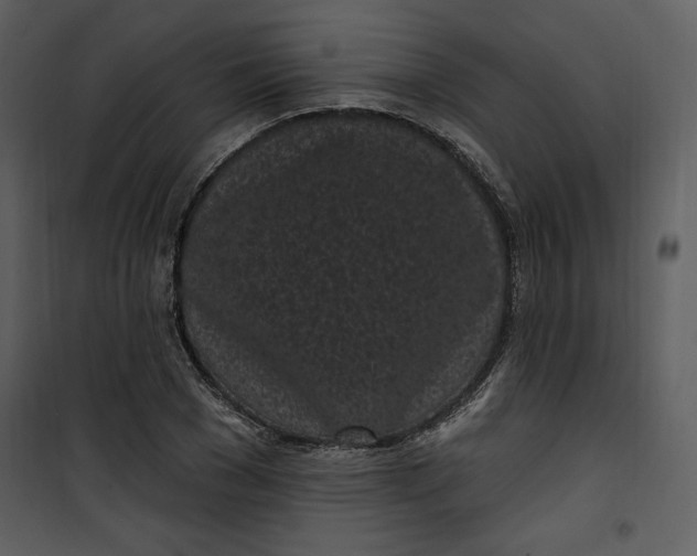 X0000101230977200807181559