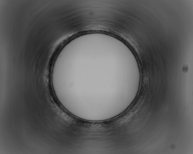 X0000101230979200807181559