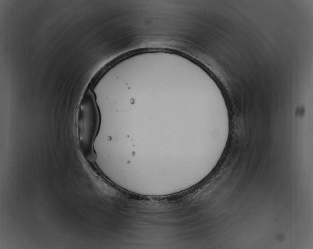 X0000101230980200807181559