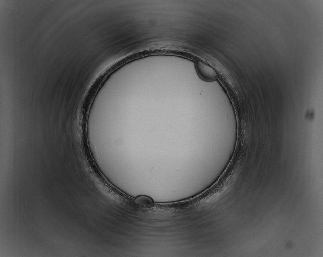 X0000101230981200807181559