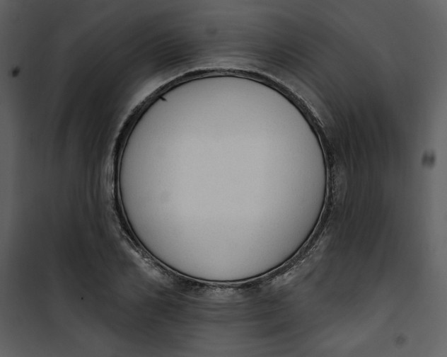 X0000101230982200807181559