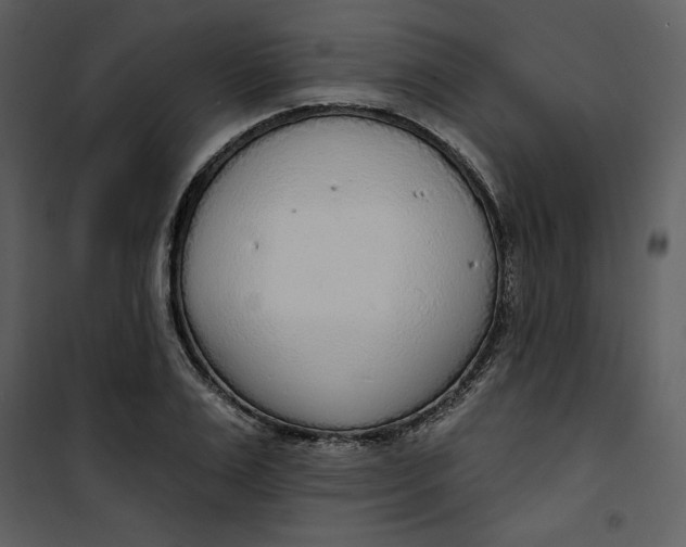 X0000101230983200807181559