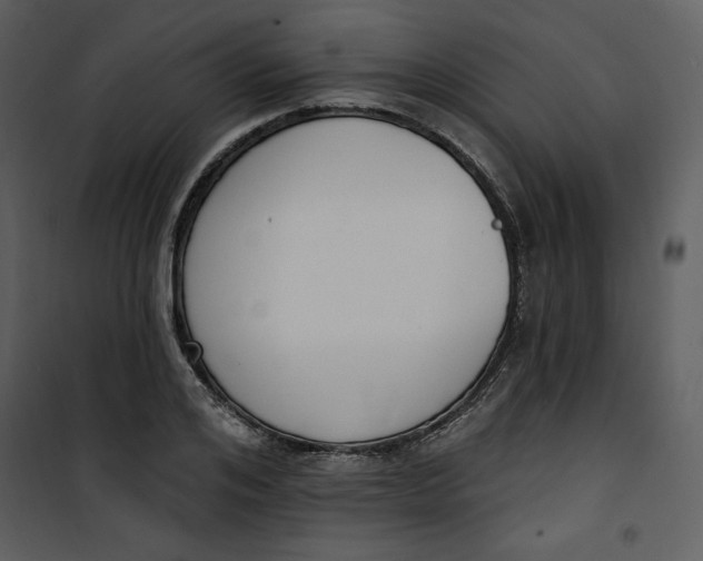 X0000101230984200807181559