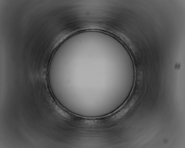 X0000101230985200807181559