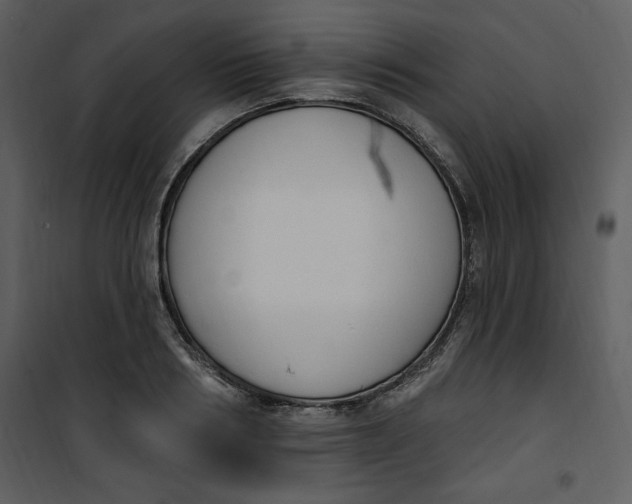 X0000101230986200807181559