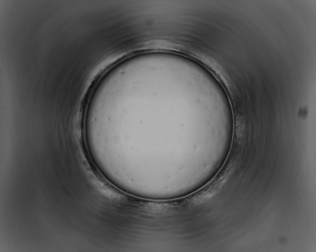 X0000101230987200807181559