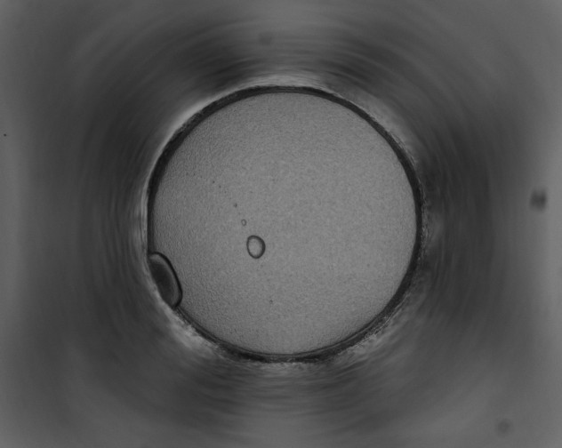 X0000101230988200807181559