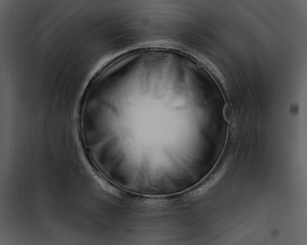 X0000101230989200807181559