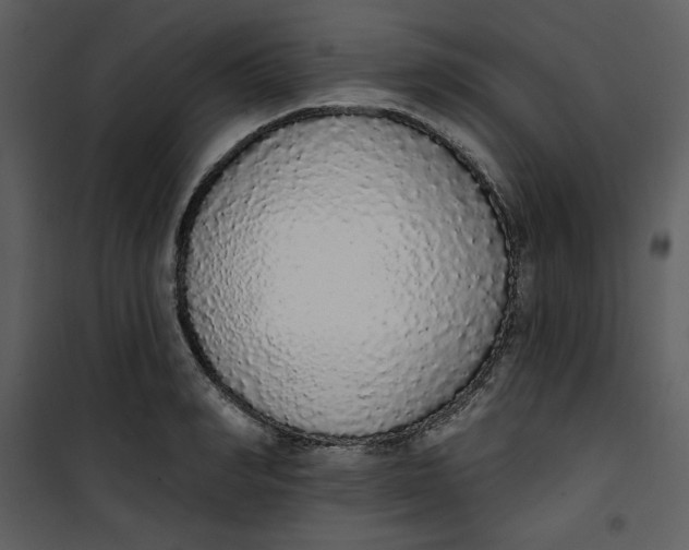 X0000101230990200807181559