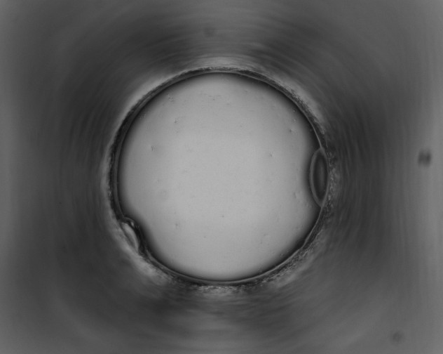 X0000101230991200807181559