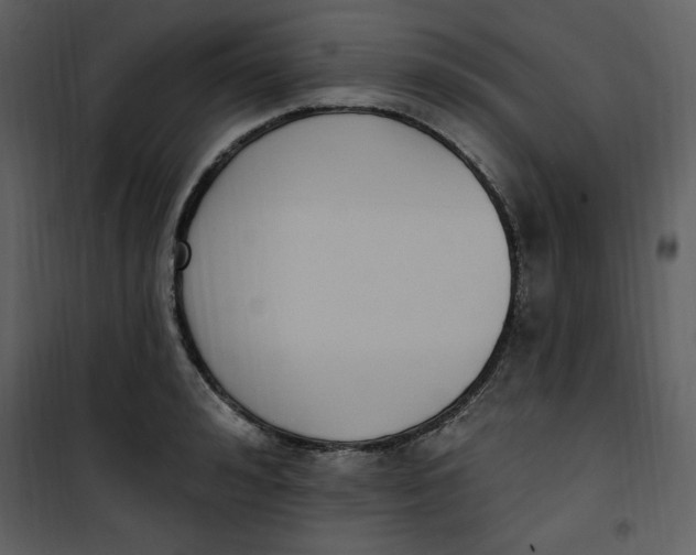 X0000101230992200807181559