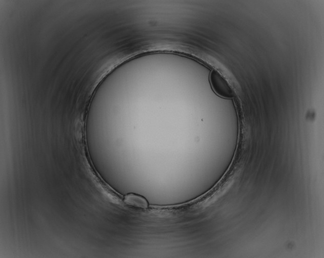 X0000101230993200807181559