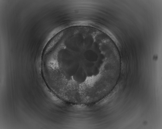 X0000101230994200807181559