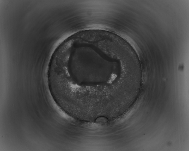 X0000101230995200807181559