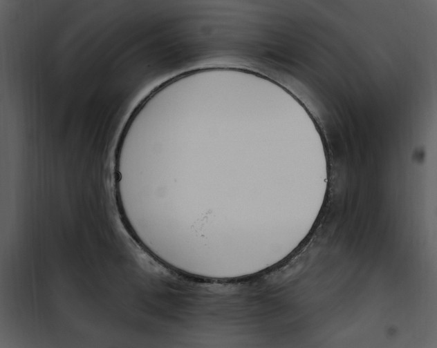 X0000101230996200807181559