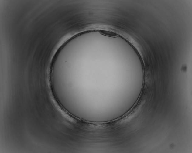 X0000101230997200807181559