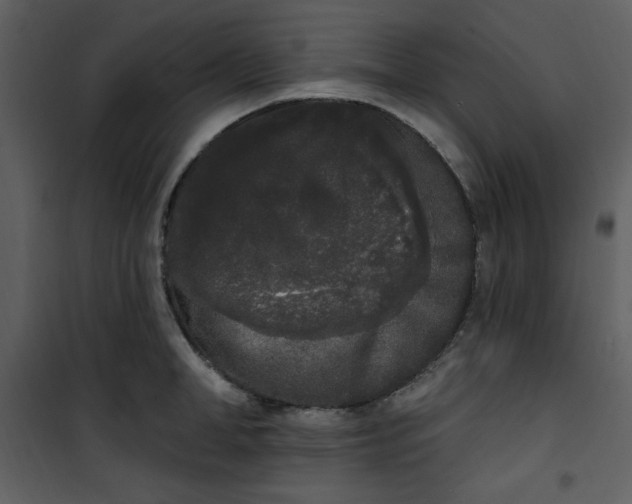 X0000101230998200807181559