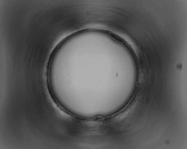 X0000101230999200807181559