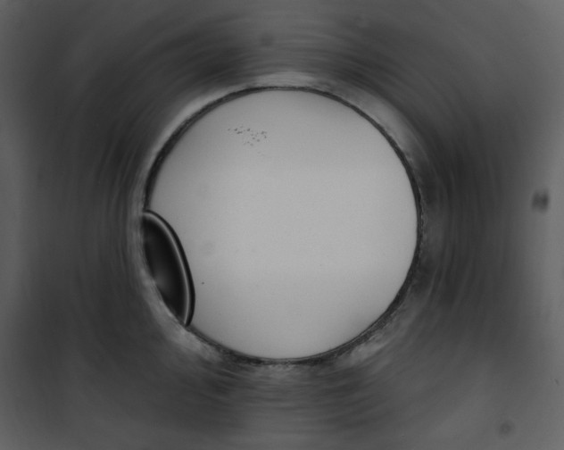 X0000101231000200807181559