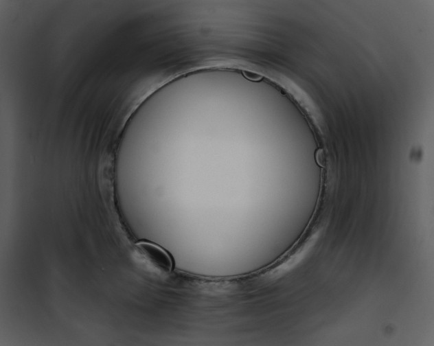 X0000101231001200807181559