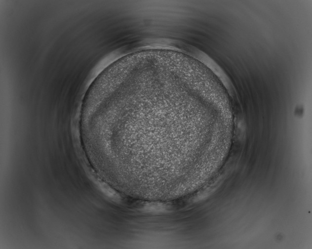 X0000101231002200807181559