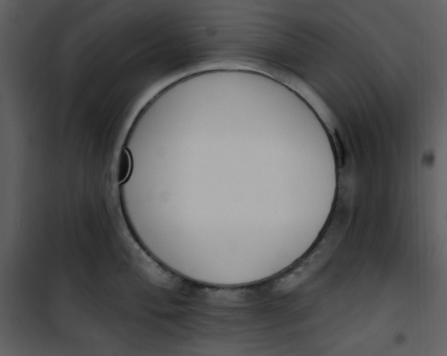 X0000101231004200807181559