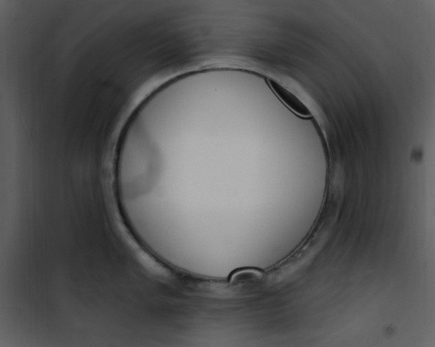 X0000101231005200807181559