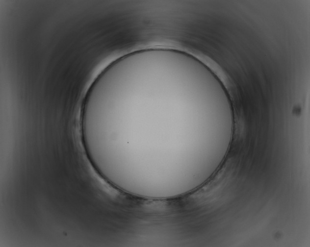 X0000101231006200807181559