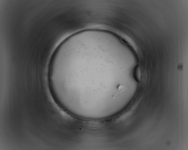 X0000101231007200807181559