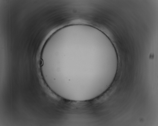 X0000101231008200807181559