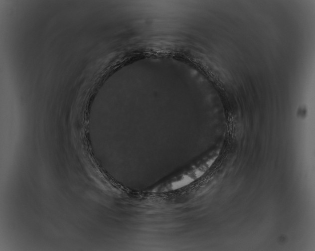 X0000101231009200807181558