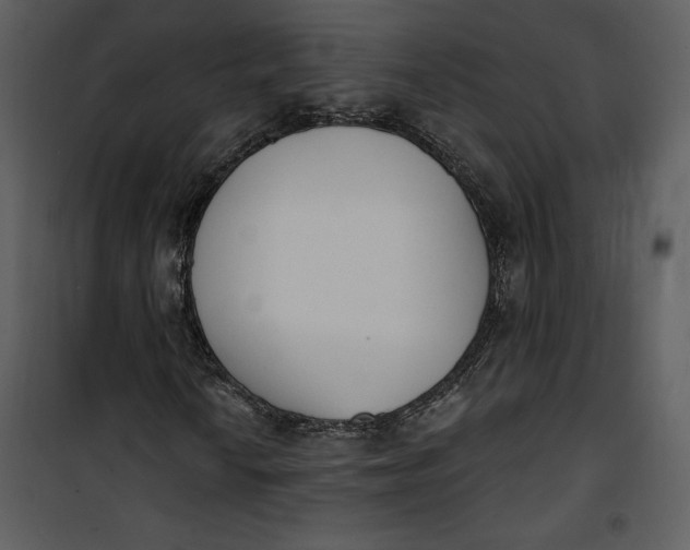 X0000101231010200807181558