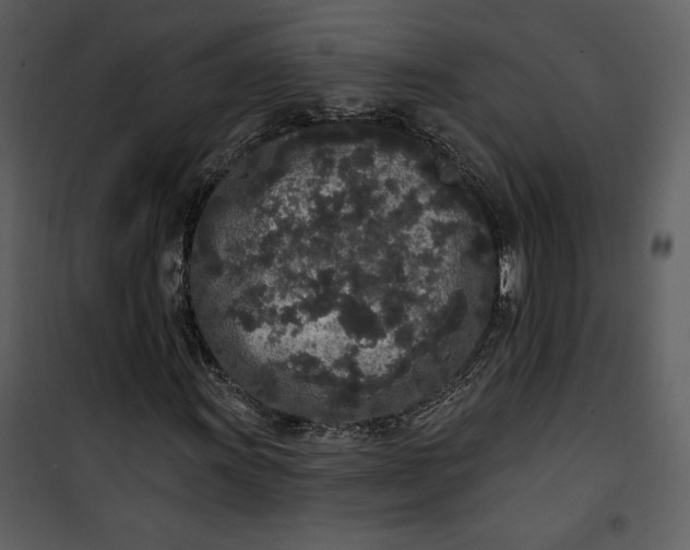 X0000101231011200807181558