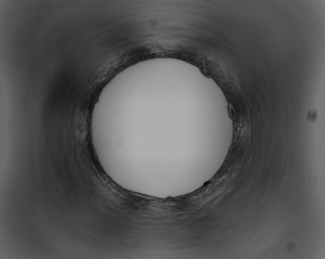 X0000101231012200807181558