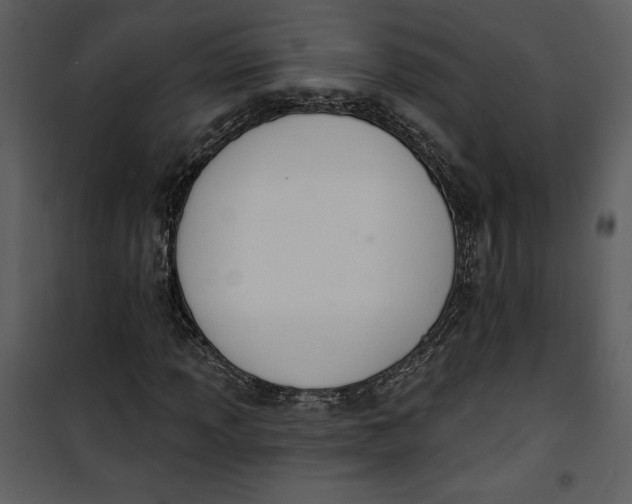 X0000101231013200807181558