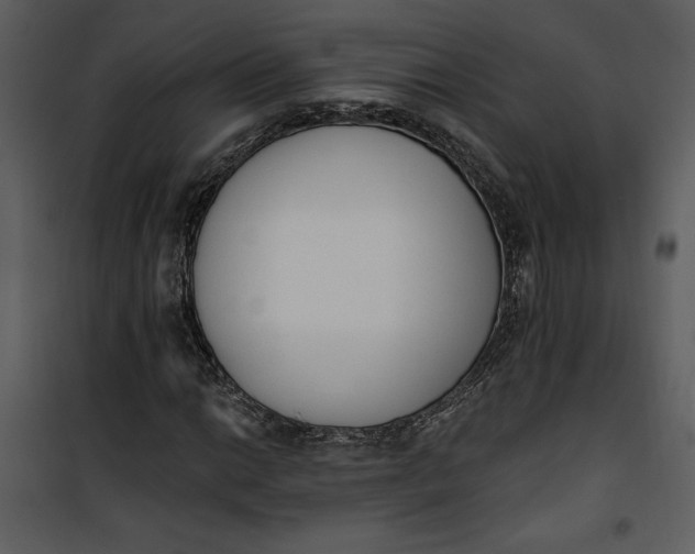 X0000101231014200807181558