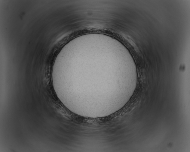 X0000101231015200807181558