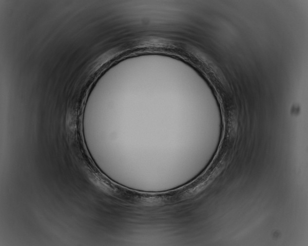 X0000101231017200807181558