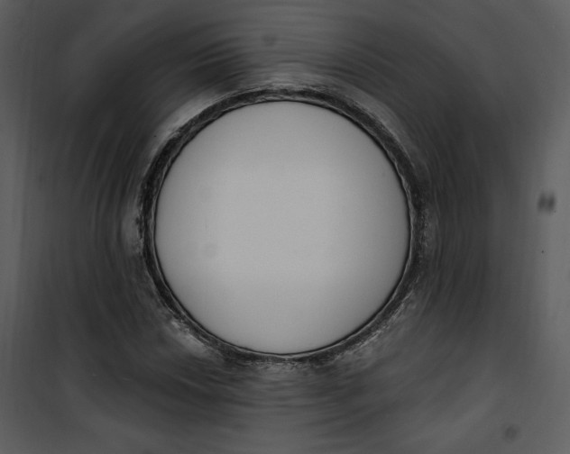 X0000101231018200807181558