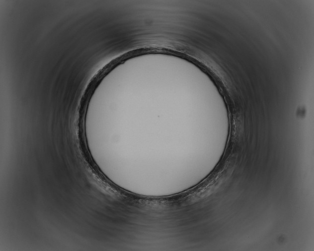 X0000101231020200807181558