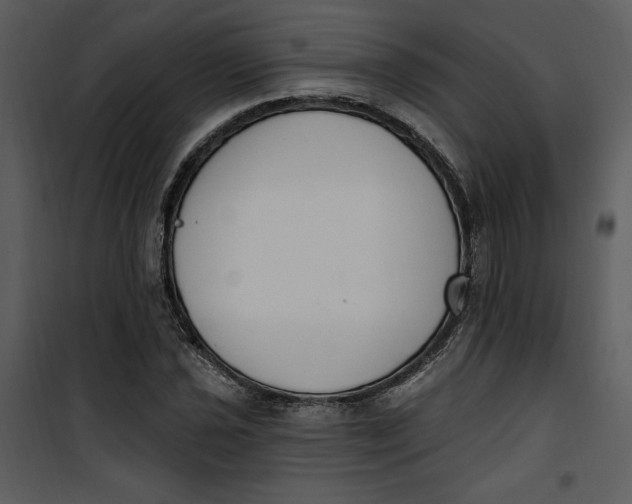 X0000101231021200807181558