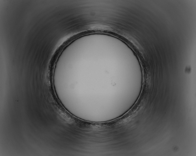 X0000101231022200807181558