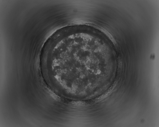 X0000101231023200807181558