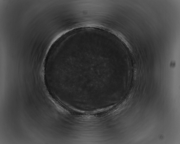 X0000101231024200807181558