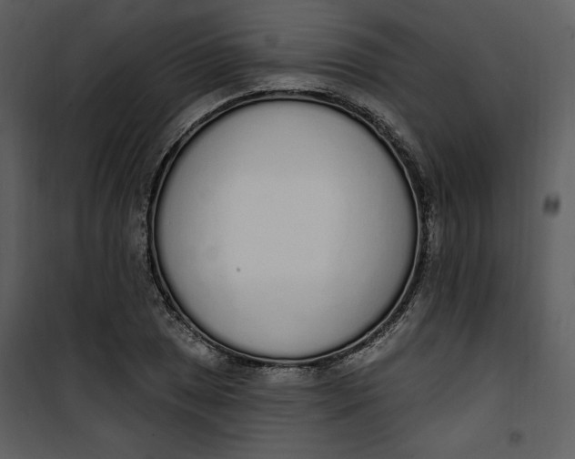 X0000101231025200807181558