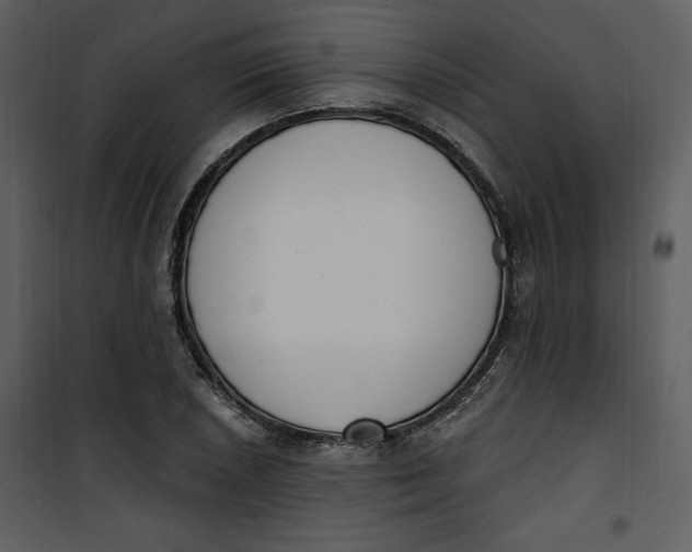 X0000101231026200807181558