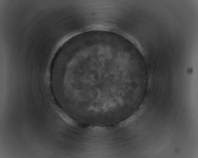 X0000101231027200807181558