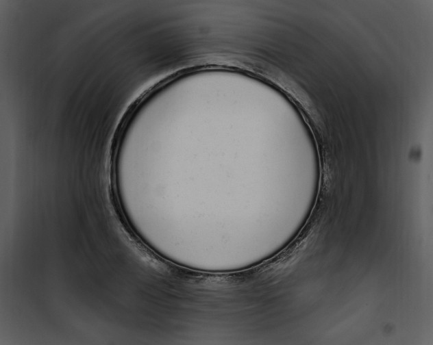 X0000101231028200807181558