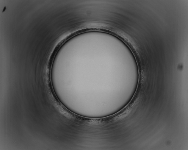 X0000101231029200807181558